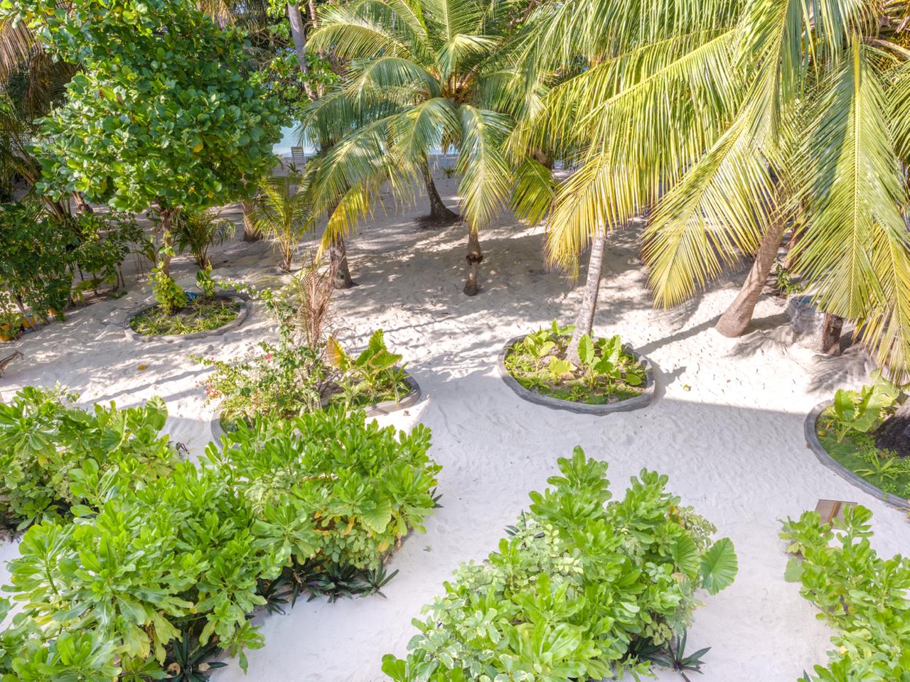 Biosphere Beach - Image 6