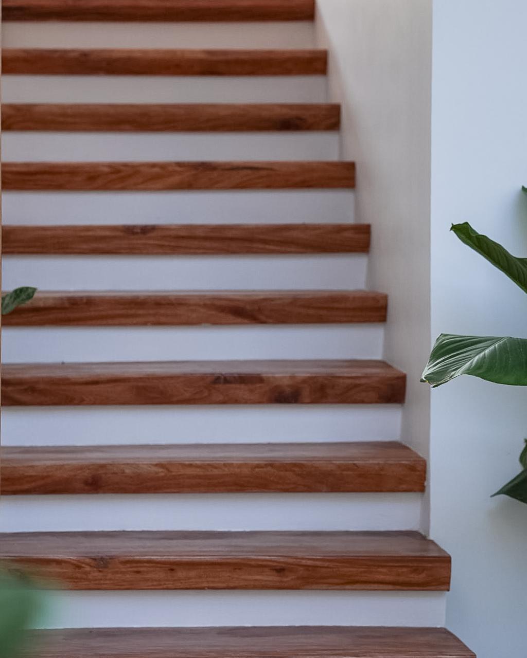 Biosphere Beach - Image 9