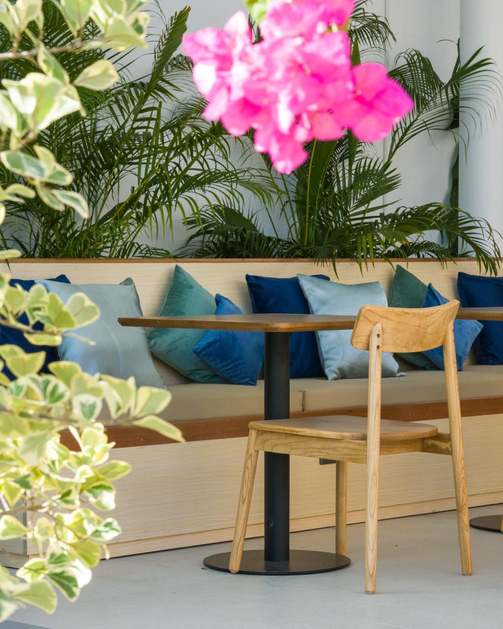 Biosphere Beach - Image 14