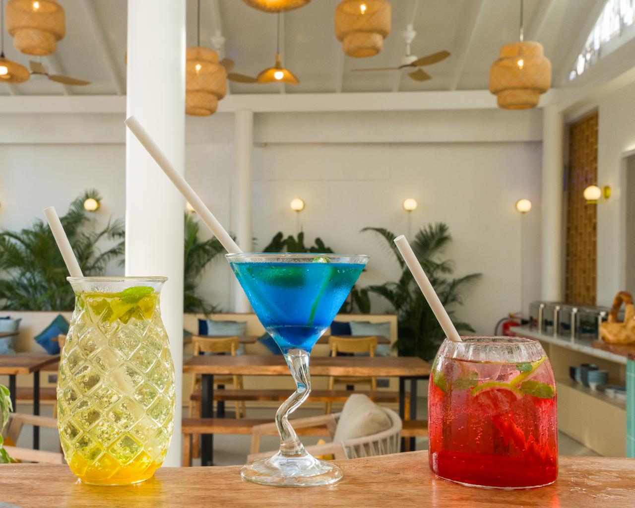 Biosphere Beach - Image 19