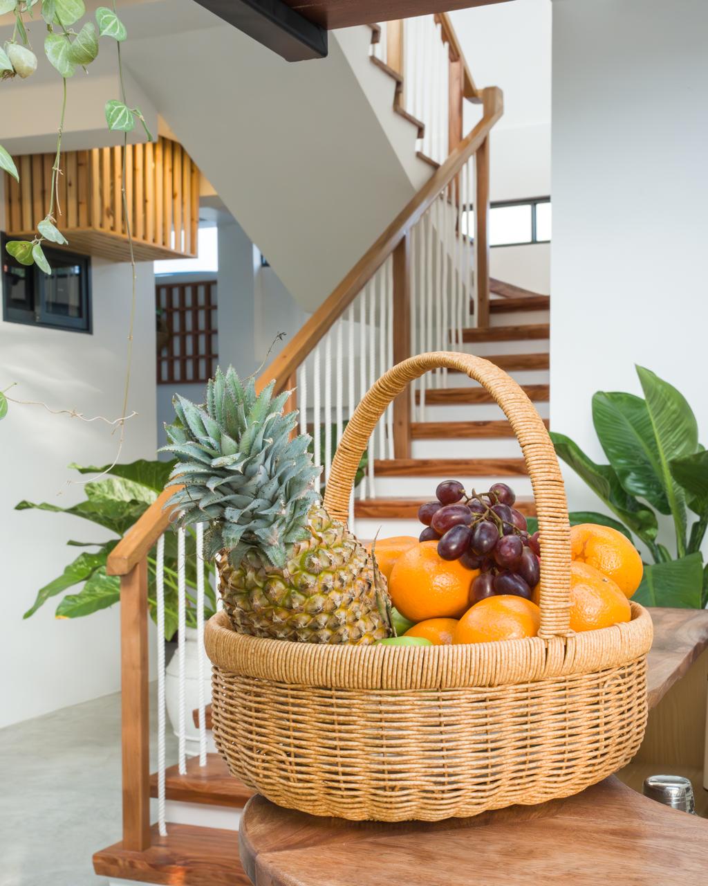 Biosphere Beach - Image 23