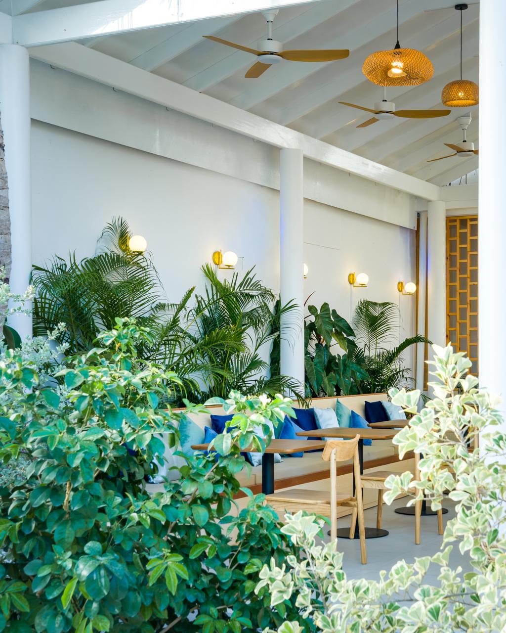 Biosphere Beach - Image 25