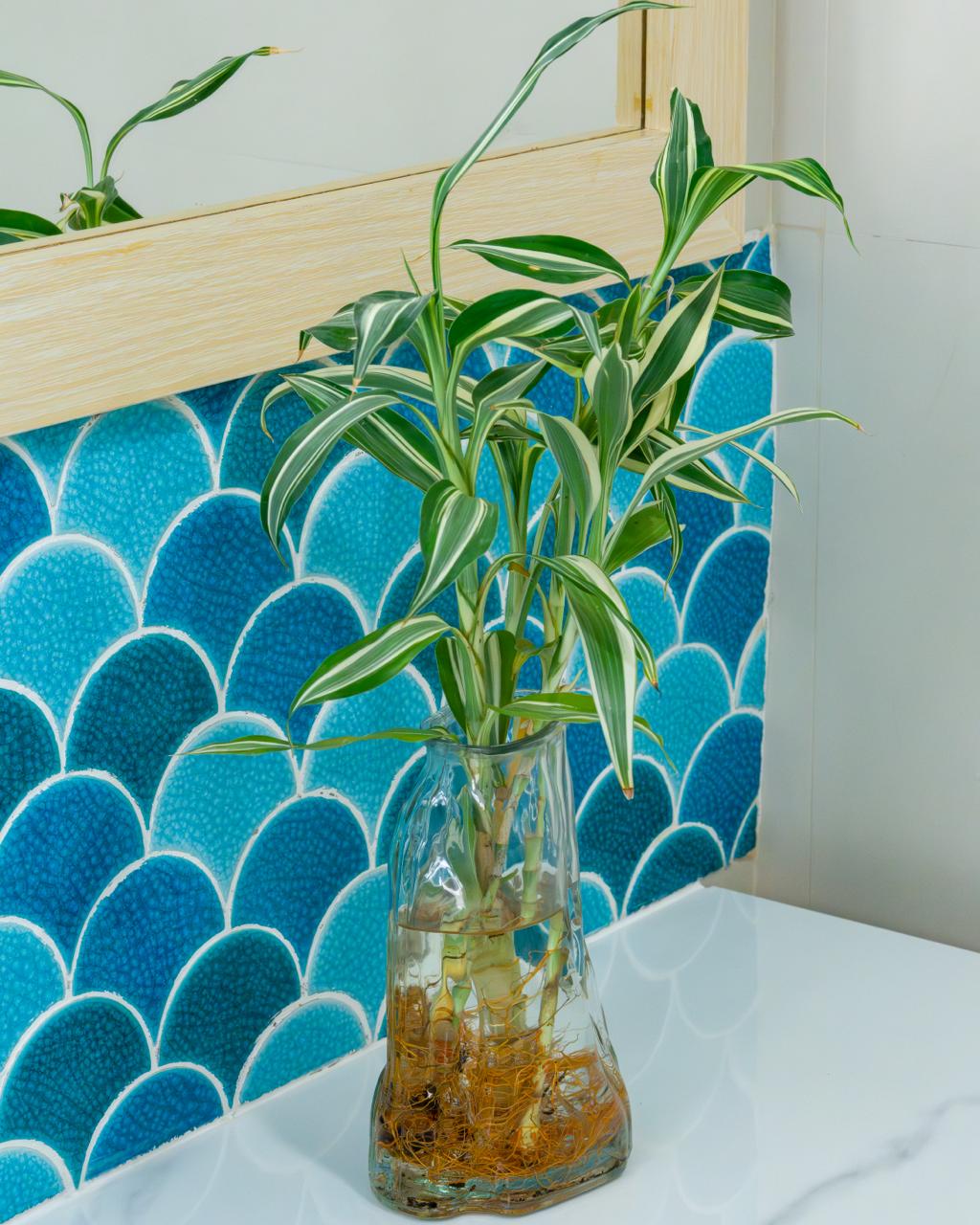 Deluxe Seaview with Balcony